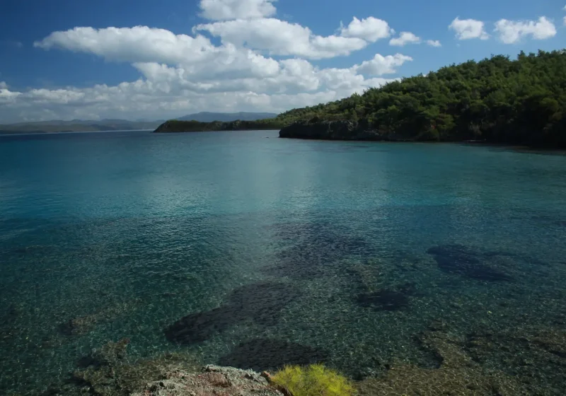 İzmir Çevresinde Dalış ve Zıpkın Noktaları: Karaburun'dan Seferihisar'a